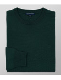 Knit Regular Fit Plain Dark Green| Oxford Company eShop